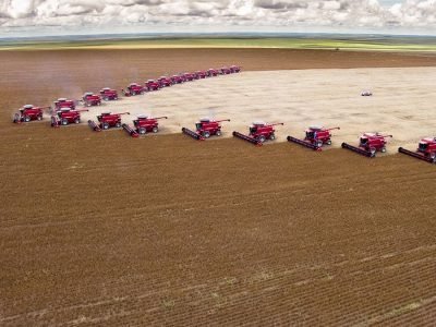 Soja - Créditos: shurtterstock