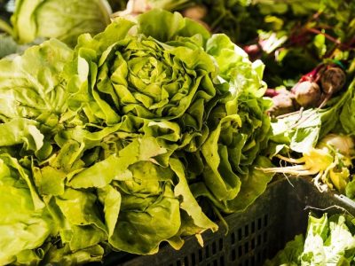 Foto: banco de imagens