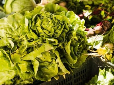 Foto: banco de imagens