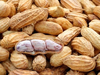 Amendoim -Crédito: shutterstock