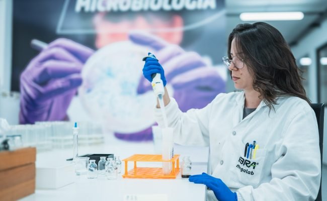Plano de saúde do solo conecta análise, amostragem e suporte agronômico para produtores rurais no Brasil.
