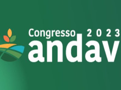 andav2023
