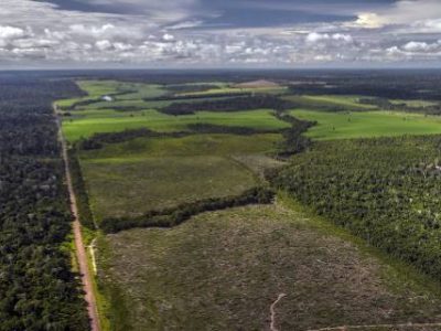 Desmatamento de capoeira na altura do Km 114 da BR-163. À esquerda, a Floresta Nacional do Tapajós.Foto Marizilda Cruppe/Divulgação