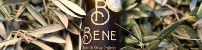 azeite-organico-brasileiro-fazenda-sao-benedito