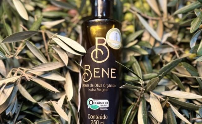 azeite-organico-brasileiro-fazenda-sao-benedito