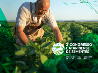 b144f2384b6a00e72c41df7a9c00477c (Telefone)