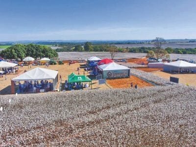 Amipa realiza Dia de Campo com cultura do algodão em alta