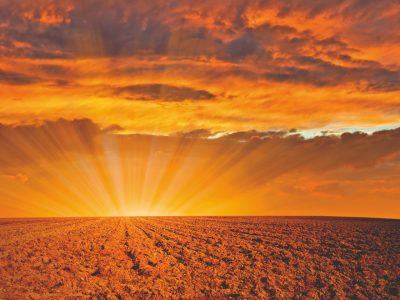 Hora de fazer análise de solo e da lavoura