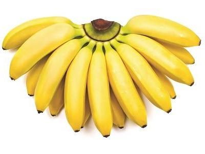 Bunch of baby bananas isolated on white background. Flat lay, top view
