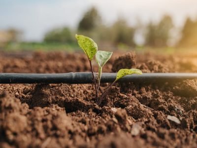 Imagem ilustrativa / Arquivo