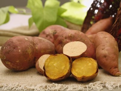 Além das suas qualidades agronômicas e nutricionais, a nova cultivar atrai consumidores com sua casca rosada e polpa amarela em tom intenso. Foto: Paulo Lanzeta
