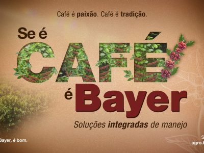 bayer (Médio)