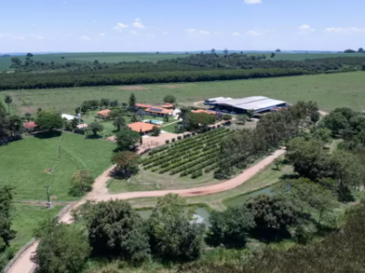 bayer-fazenda-Telefone