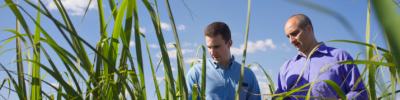bayer-fundo-cbio-descarbonizacao-agronegocio-iwa-2026