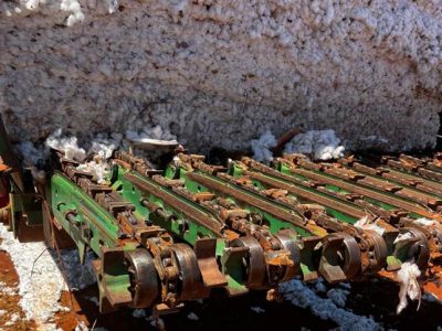 O transmódulo é usado para transportar fardos pré-compactados de algodão do campo à unidade de beneficiamento em Catuti