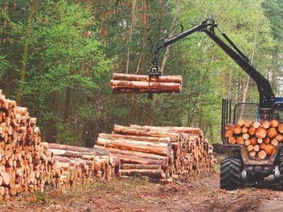 MP 884 não muda o contexto jurídico do Novo Código Florestal