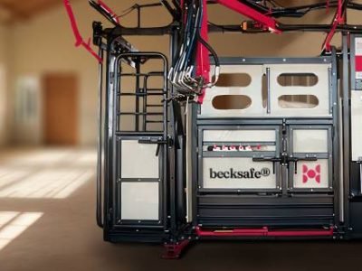becksafe-equipamento (Telefone)