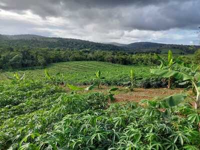 Imagem ilustrativa/arquivo