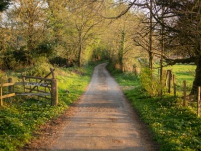 ben-collins-CGdKv4BA6GQ-unsplash (Pequeno)