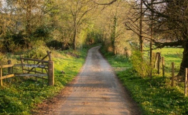 ben-collins-CGdKv4BA6GQ-unsplash (Pequeno)