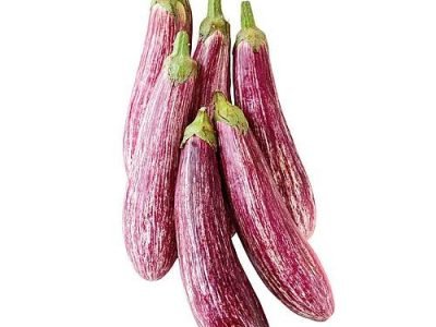 berinjela