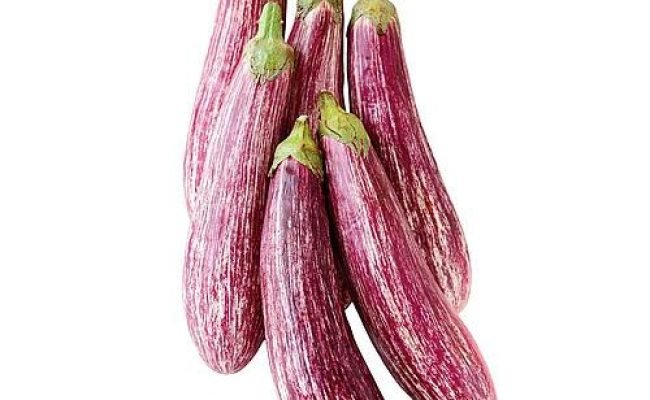 berinjela