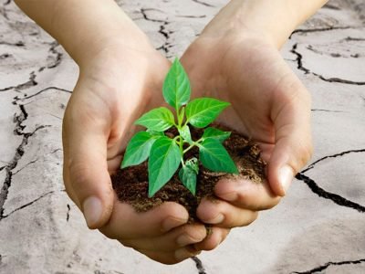 Bioatlantis - Foto: Divulgação