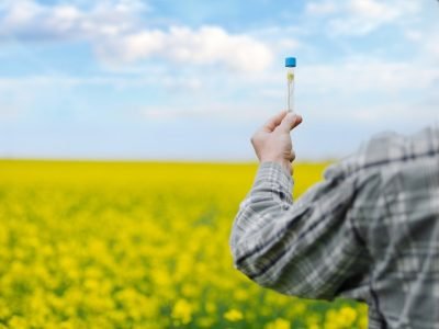 Holding,Flower,Sample,In,A,Tube,On,The,Field,For