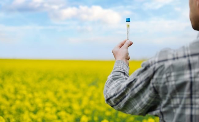 Holding,Flower,Sample,In,A,Tube,On,The,Field,For
