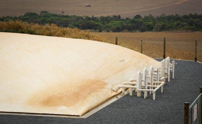 Além de representar um avanço significativo para a transição energética, o uso de bioinsumos gera retorno de R$ 79 para cada R$ 1 investido nas lavouras