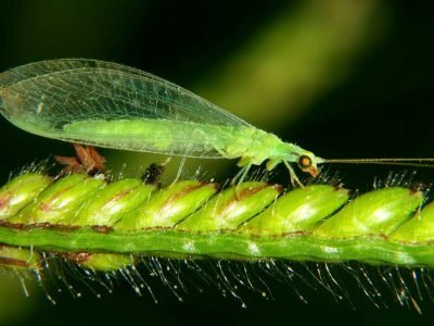 Praga - Crédito: Flávio Medeiros