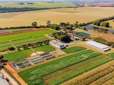 Bio Oracle, Santo Antônio de Posse (SP)
