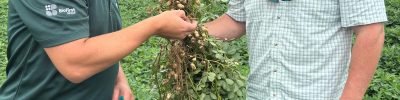 biotrop-visita-a-campo-birdsong-peanut-foto-divulgacao