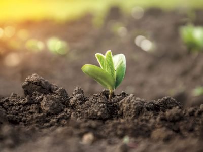 Crédito: Luize Hess