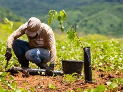 Solo seco e rachado na Caatinga durante processo de desertificação