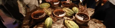 cacau