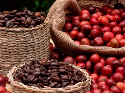 Café - Créditos: shutterstock