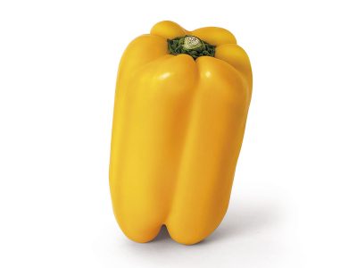 camaro_expande