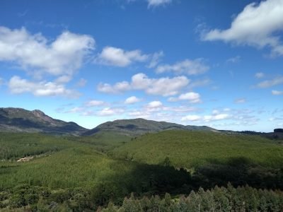 campanha-prevencao-incendios-florestais-melhoramentos