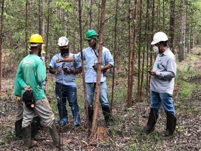 Trabalho em campo - Foto: Divulgação