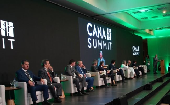 Setor sucroenergético se reúne em Ribeirão Preto para discutir desafios e perspectivas da produção de cana (Crédito: Divulgação)