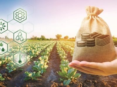 Money bag on the background of agricultural crops in the hand of the farmer. Agricultural startups. Profit from agribusiness. Development of innovation and research agriculture. Investing in farming.