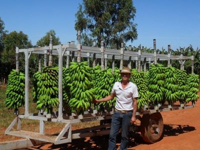 carreta bananeira1