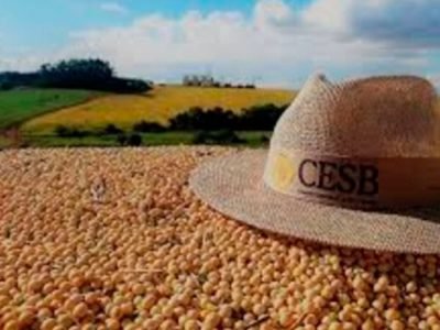 Cesb - Foto: Divulgação