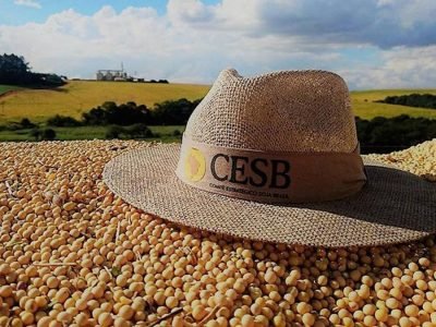 Cesb - Foto: Divulgação