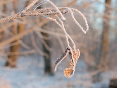 Clima - Foto: Divulgação