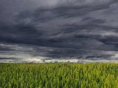 clouds-g7f4b4ca69_1920