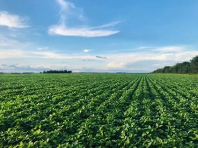 cms_files_817970_1716247810agricultura-regenerativa_20_-_05-Telefone