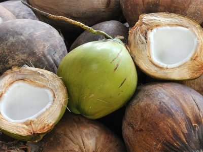 Coco - Fotos: Saulo Coelho