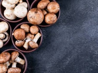 White and brown mushrooms in a lot of bowls on a dark background. top view. space for text